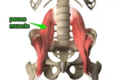 Bigger view of Psoas spier